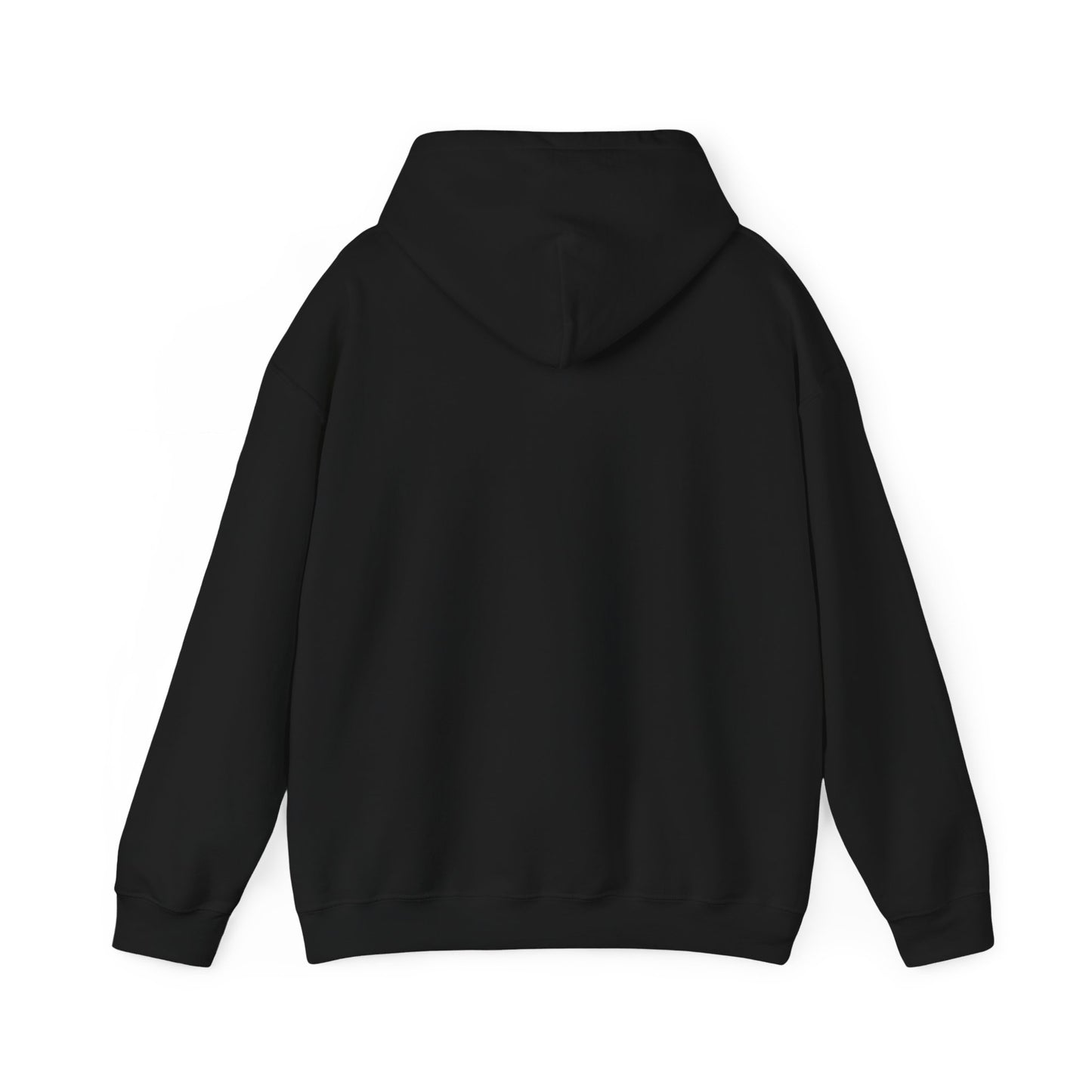 Raleigh Squall Hoodie